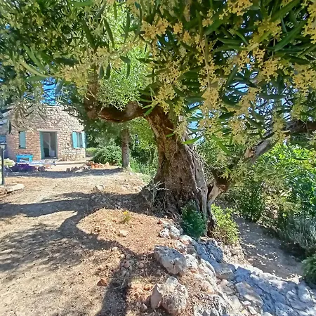 Hotel Pietra Bianca *